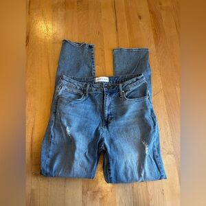 Articles of Society Jeans